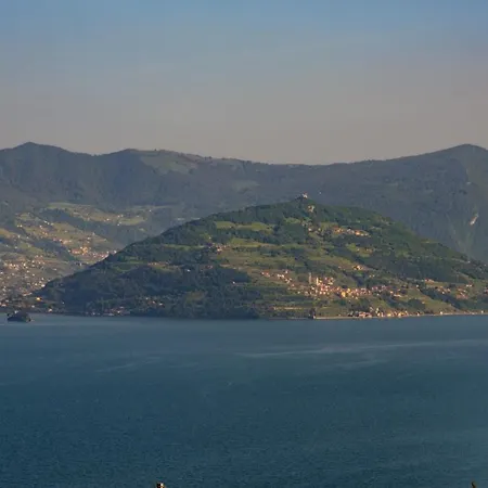 Italian - Longol *